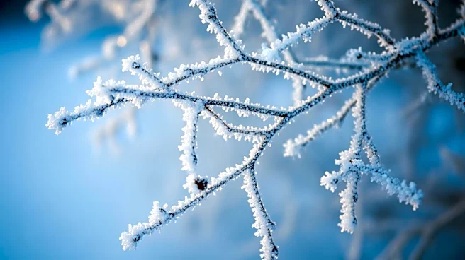 Joint Care in Cold Weather: Tips for Maintaining Mobility