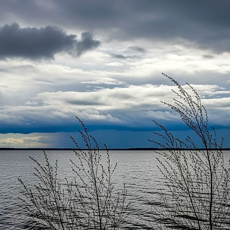 Buffalo Weather: Rain and Wind Expected This Weekend