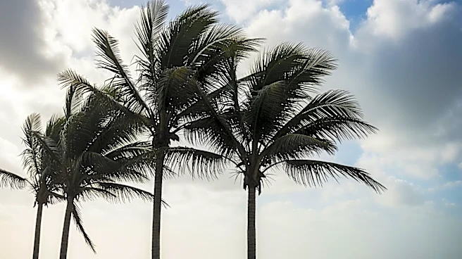 Wind Advisory in South Florida Until Early Thursday Due to Strong Gusts