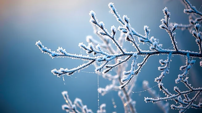 Freeze Warning Issued for Philadelphia Region Thursday Morning