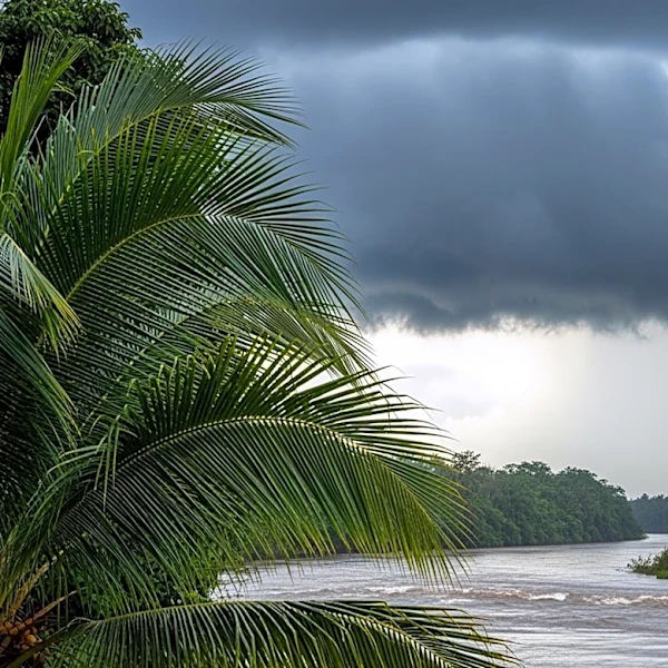 Honolulu Braces for Heavy Rain and Potential Flash Flooding