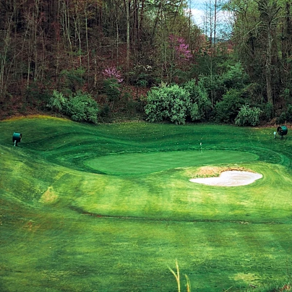 Can ideal weather change the game at 2026 Masters?