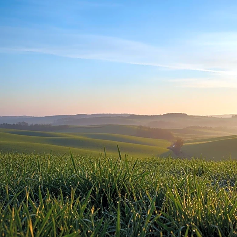 Milder Weather Returns to Maryland, Summer-like Heat Expected Next Week