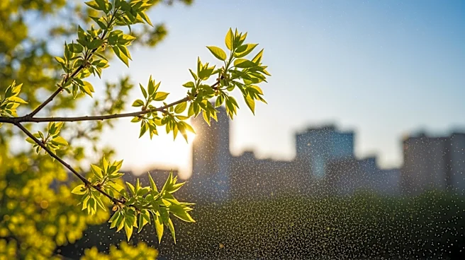 Allergy Season Returns to New York City with Tree Pollen in Full Swing