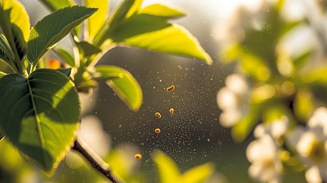 Peachtree City Faces Intense Pollen Bursts Amid Spring