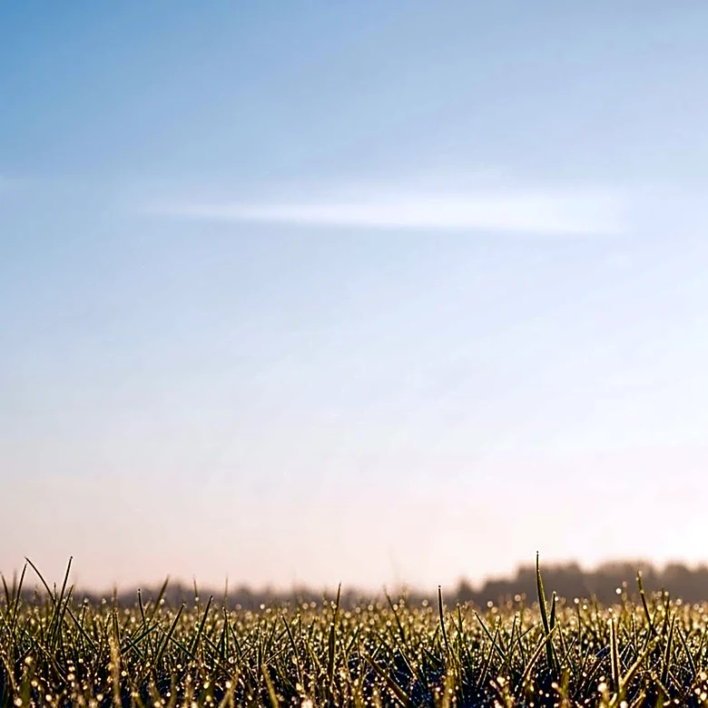 Grand Forks Forecast: Mild, Clear Skies Ahead