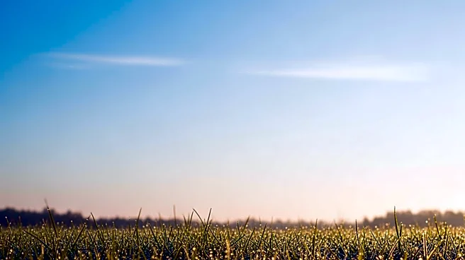 Grand Forks Forecast: Mild, Clear Skies Ahead