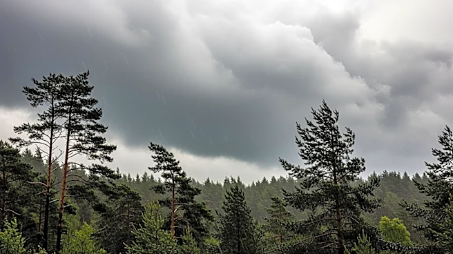Spokane Weather: Rain and Wind Expected This Weekend