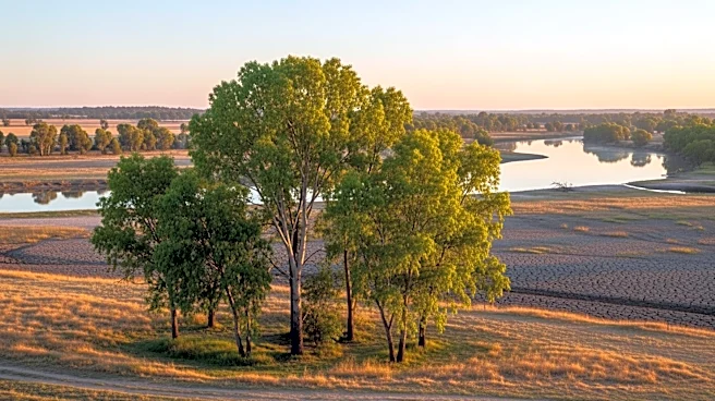 South Carolina Lifts Red Flag Fire Alert for 25 Counties Amid Dry Conditions