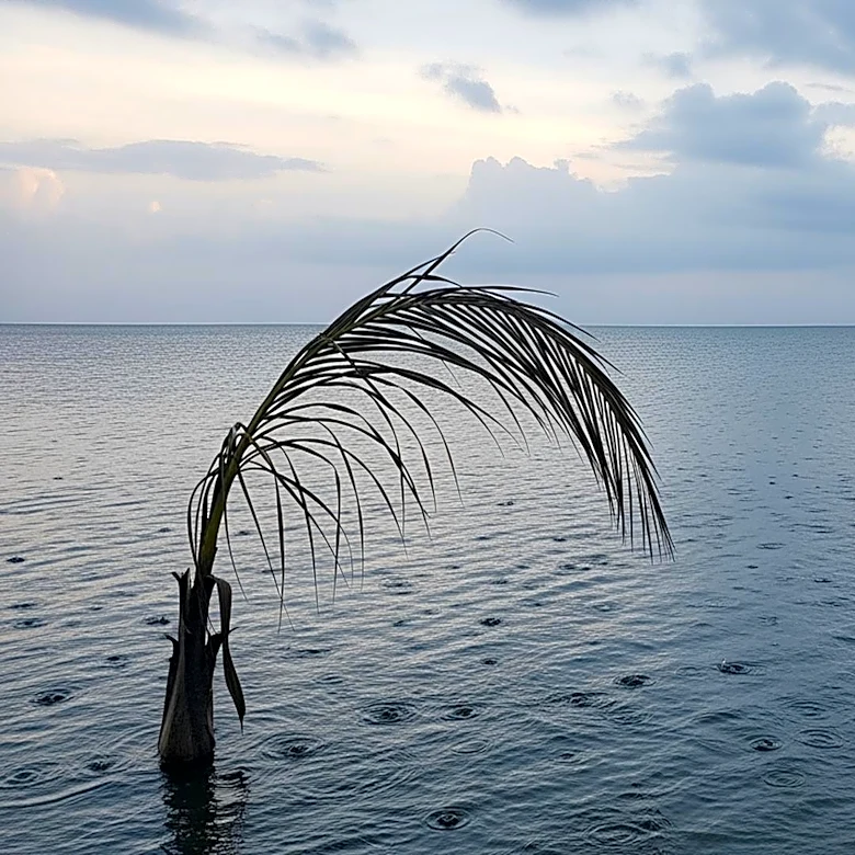 Scattered Showers Persist in South Florida, Breezy Weekend Ahead