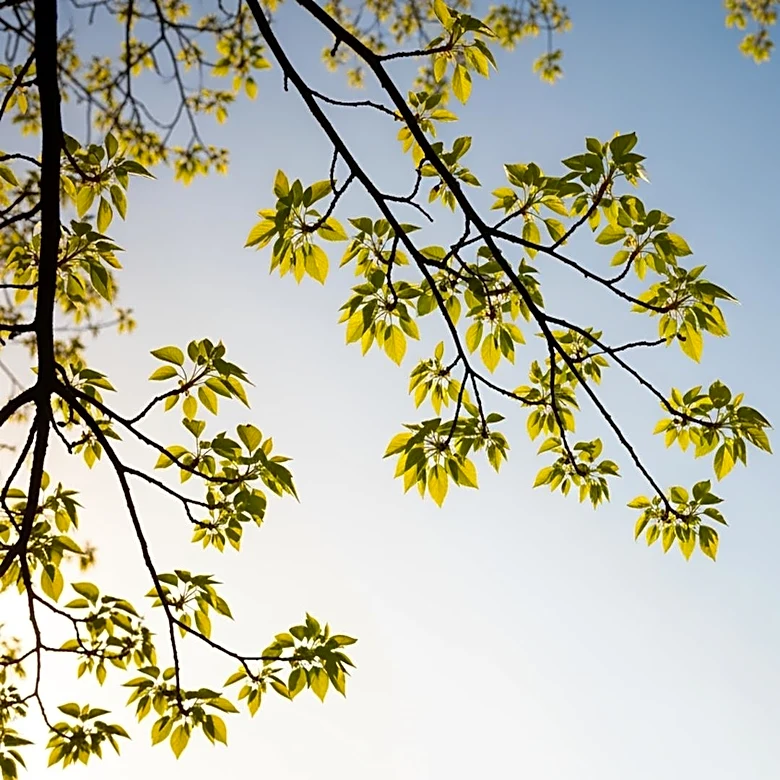 Philadelphia Region to Experience Warm Weather Transition