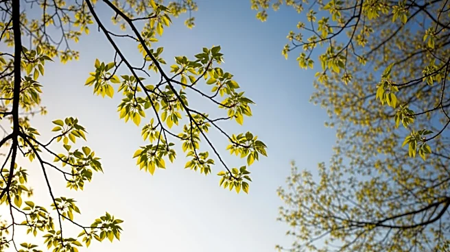 Philadelphia Region to Experience Warm Weather Transition