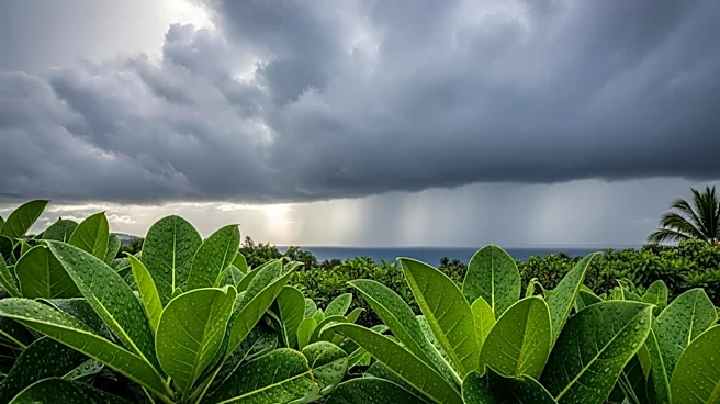 Heavy Rain Expected Across Hawaiian Islands This Weekend
