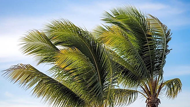 Breezy Conditions Expected in South Florida Due to Strong Winds