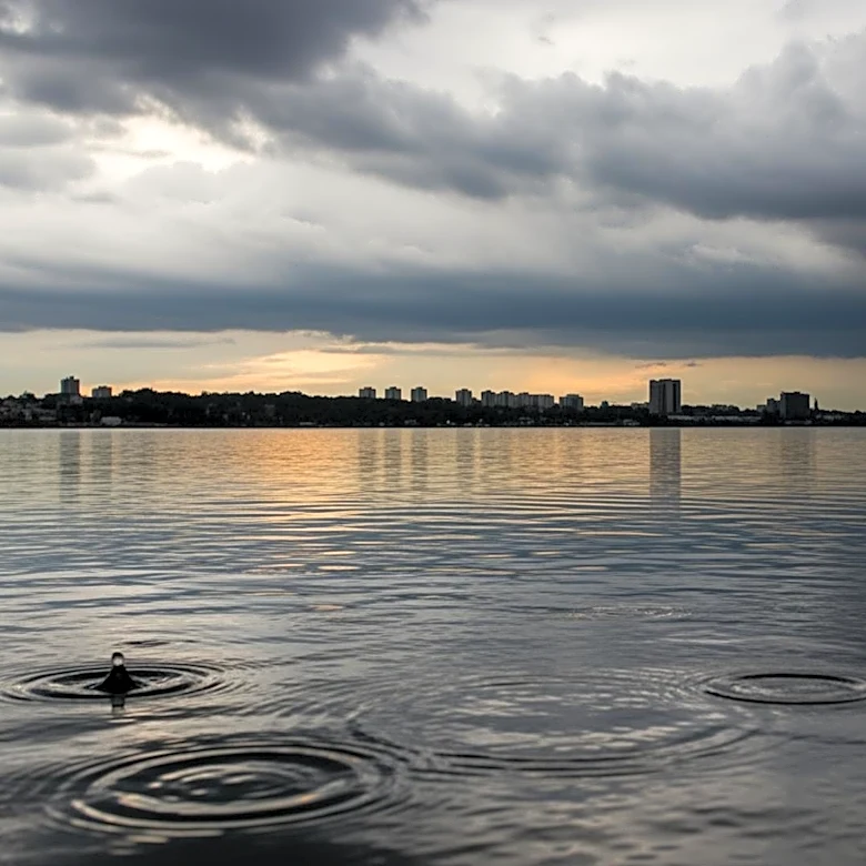 Philadelphia Weather Forecast: Rain Expected Over the Weekend