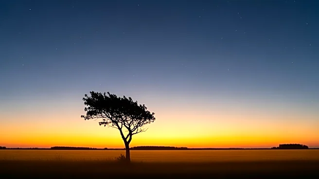 Montgomery Weather Update: Clear Skies and Mild Temperatures Expected