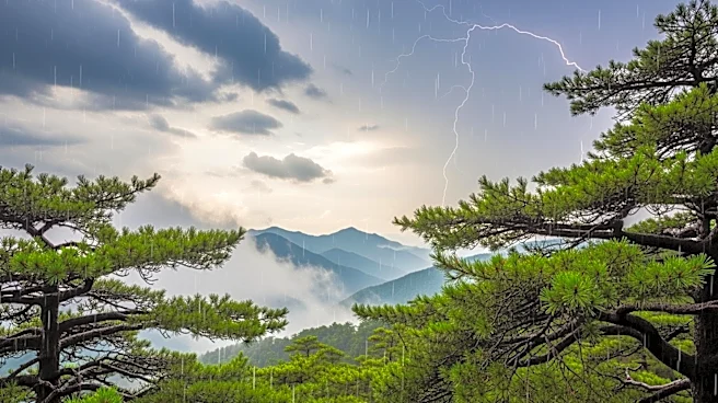 Isolated Showers and Stray Storms Expected in Colorado This Weekend