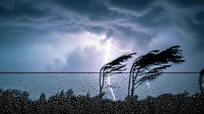 Bay Area Braces for Storm with Rain, Wind, and Thunder