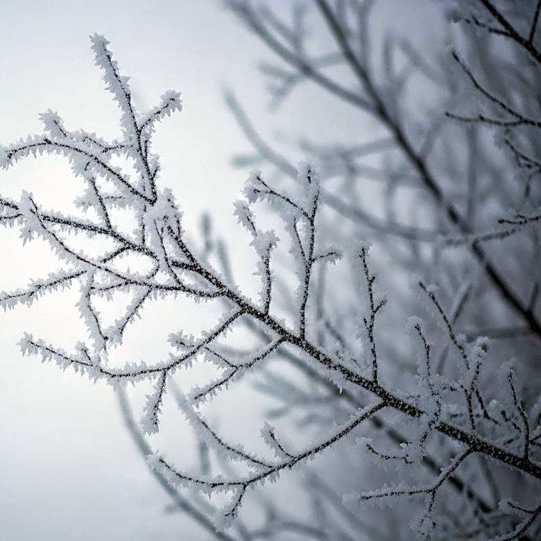 Modesto Weather Update: Wintry Mix Expected