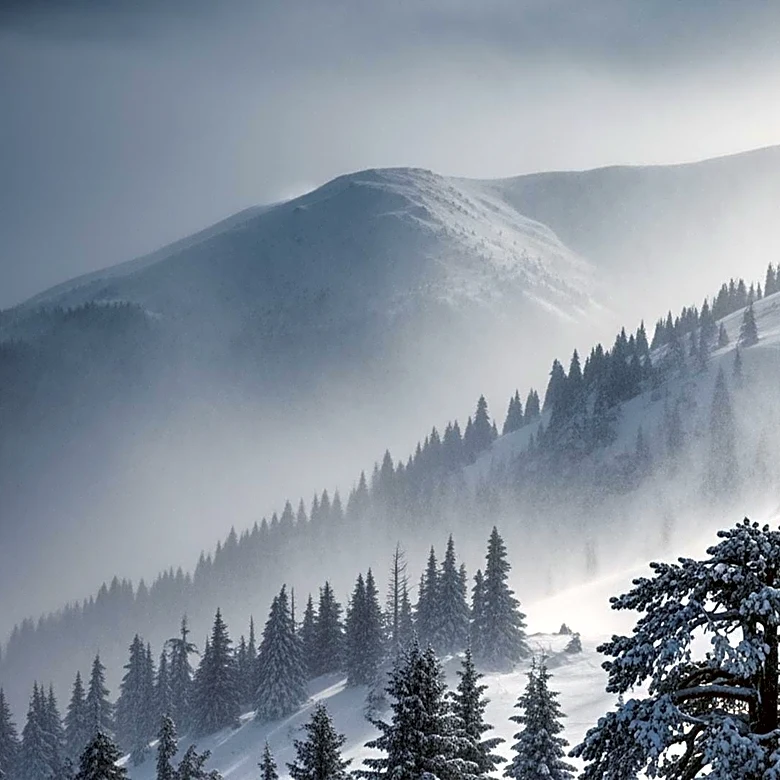 Winter Storm Warning for Lake Tahoe and Sierra Nevada: Heavy Snow and Winds Expected