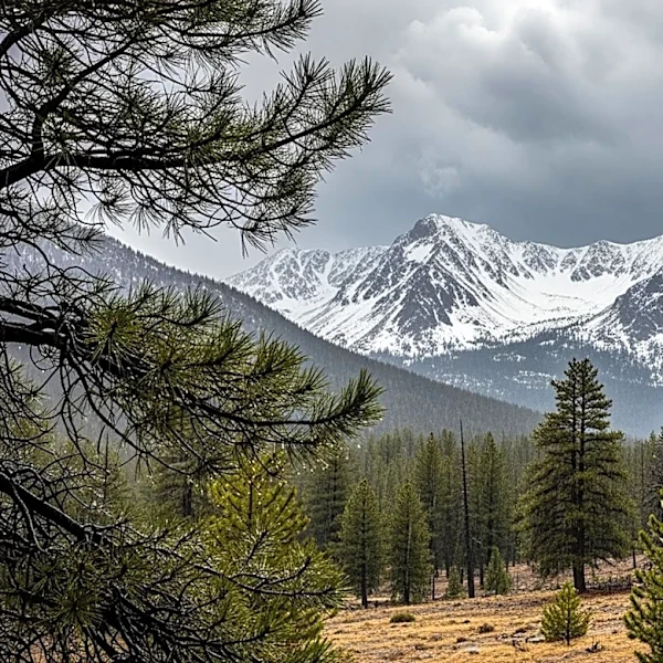California Faces Heavy Rain and Snow Amid Fire Season Concerns
