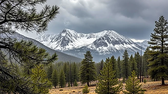 California Faces Heavy Rain and Snow Amid Fire Season Concerns