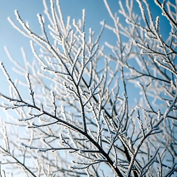 Cold Snap Hits New Jersey: Temperatures Plummet