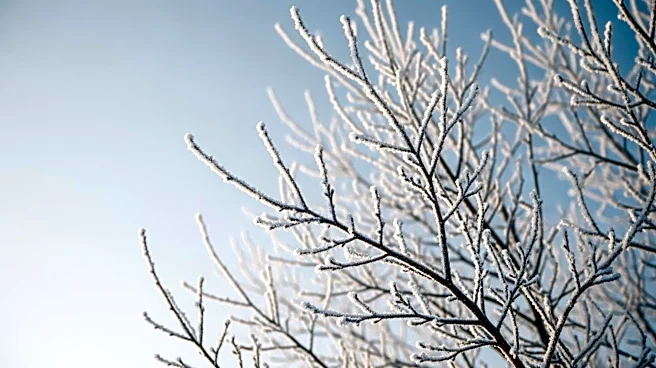 Cold Snap Hits New Jersey: Temperatures Plummet