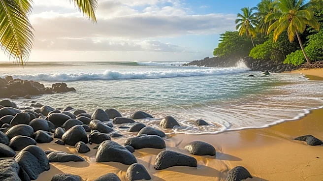 Flooding on Hawaii's North Shore Dilutes Pesticide Risk