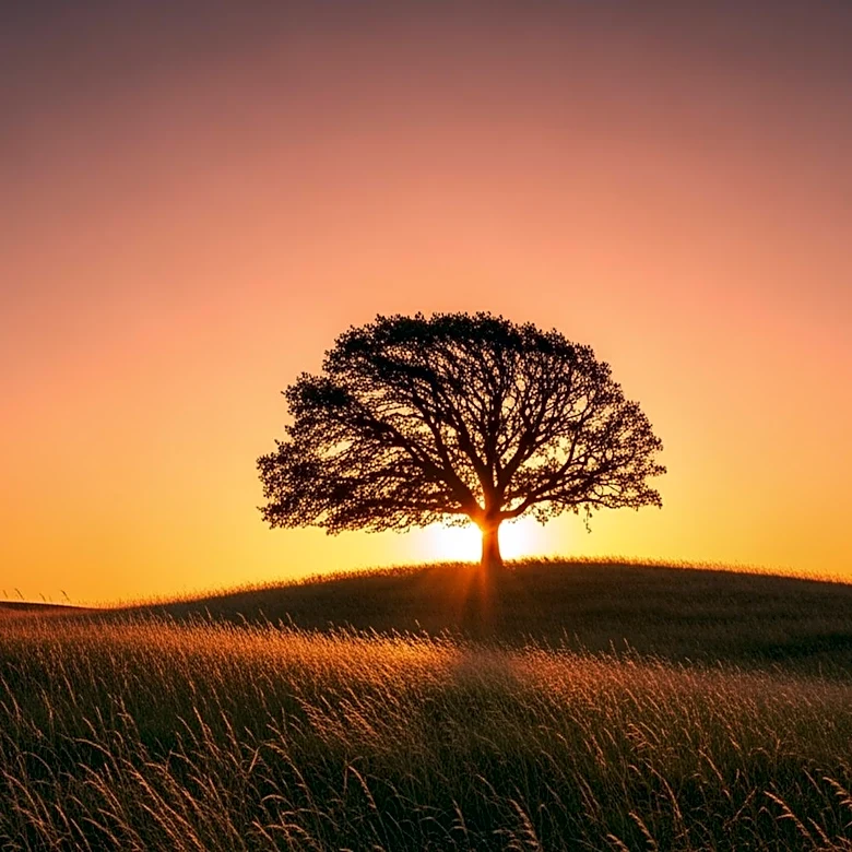 Warm Evening in Austin with Light Winds Expected