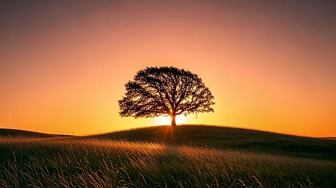 Warm Evening in Austin with Light Winds Expected