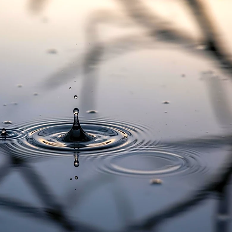 South Carolina Faces Heavy Rain and Flooding Risk This Weekend