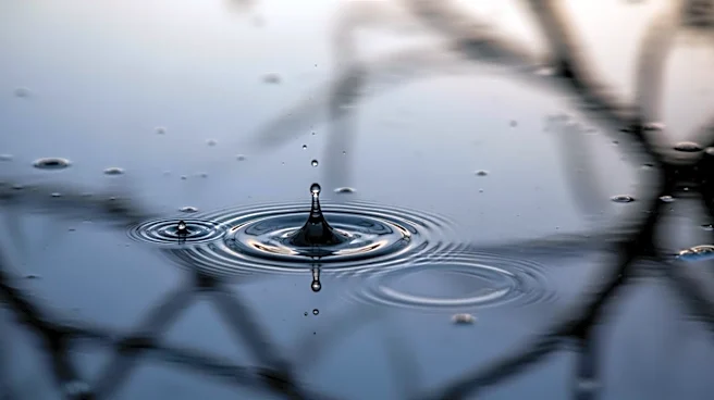 South Carolina Faces Heavy Rain and Flooding Risk This Weekend