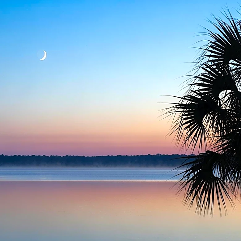 Orlando will have clear and mild weather.