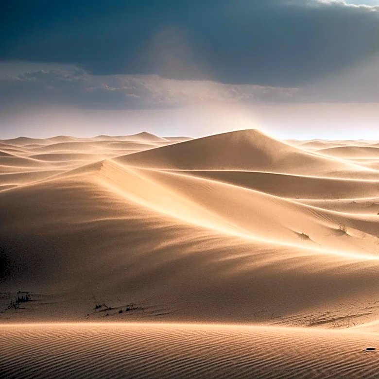 Wind and Dust Advisory Issued for Coachella Festival in Indio