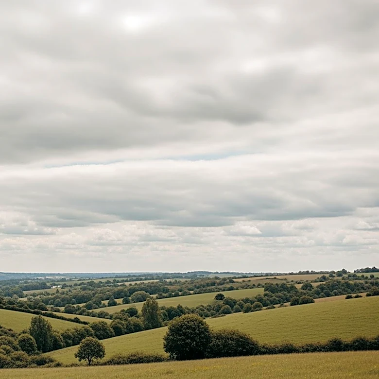 Cloudy Skies and Mild Temperatures Expected in Joplin, MO