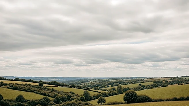 Cloudy Skies and Mild Temperatures Expected in Joplin, MO