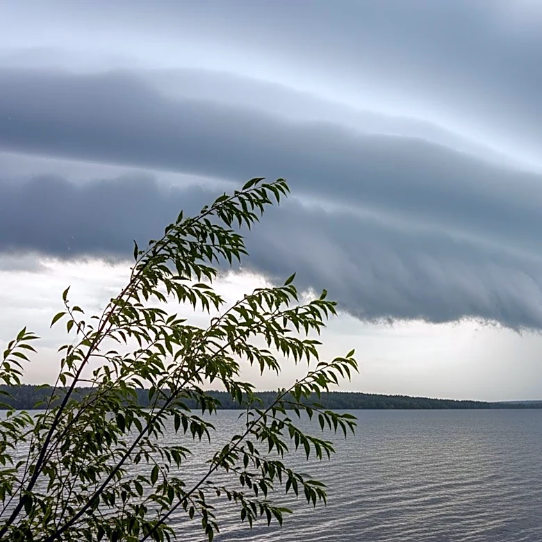 Michigan Weather Forecast: Rain and Wind Expected This Weekend