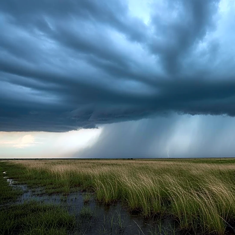 Texas Weather Forecast: Rain and Thunderstorms Expected