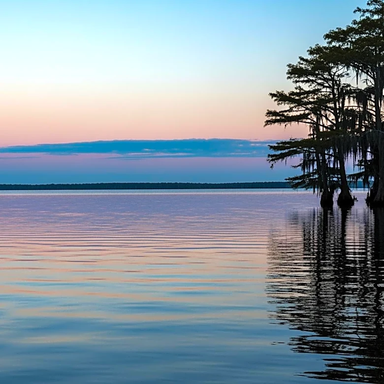 New Orleans Weather Forecast: Clear Skies Expected