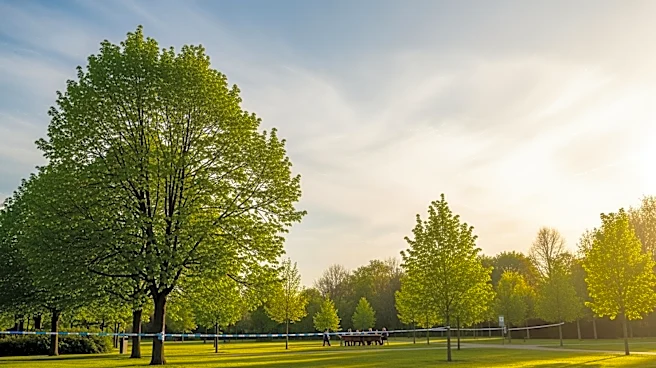 Atlanta Weather: Clear Skies and Mild Temperatures Expected