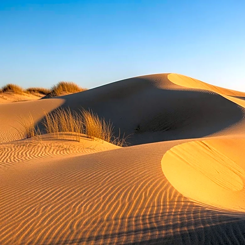 Warm and Dry Conditions Persist in South Florida Through the Week
