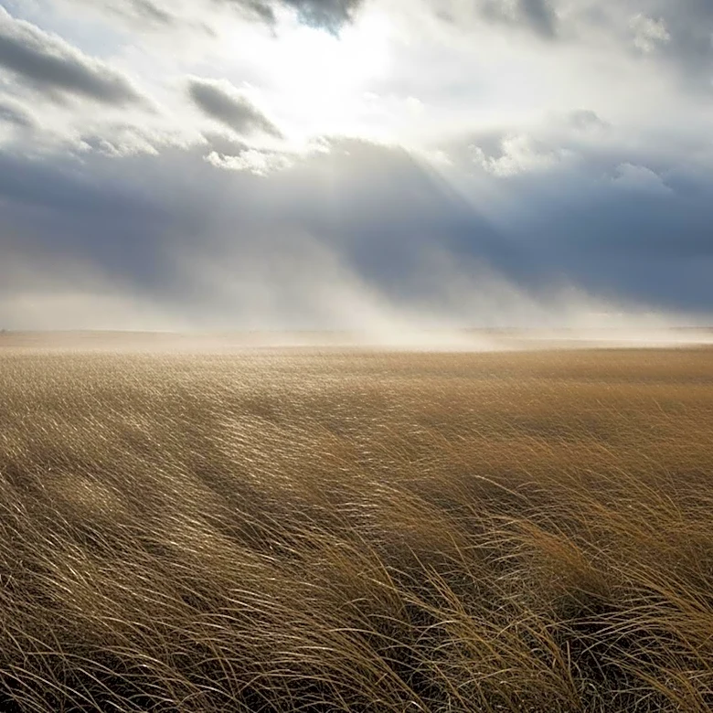 Strong Wind Gusts Expected in Prairie Region on April 12, 2026