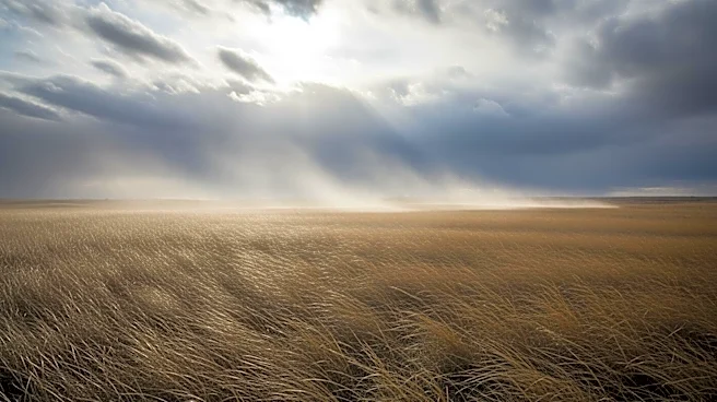 Strong Wind Gusts Expected in Prairie Region on April 12, 2026