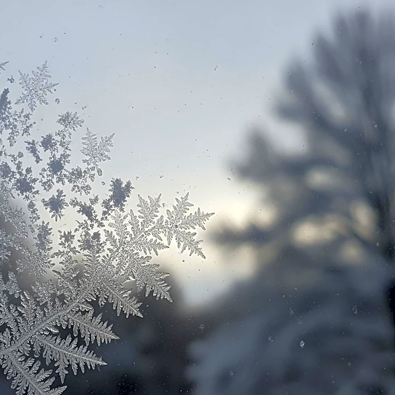 Cold Snap Hits Rochester, NY: Snow Predicted in April