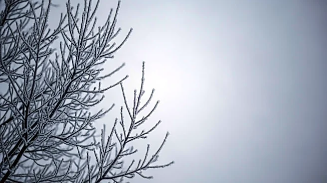 Illinois Faces Hard Freeze Alert with Temperatures Dropping Significantly