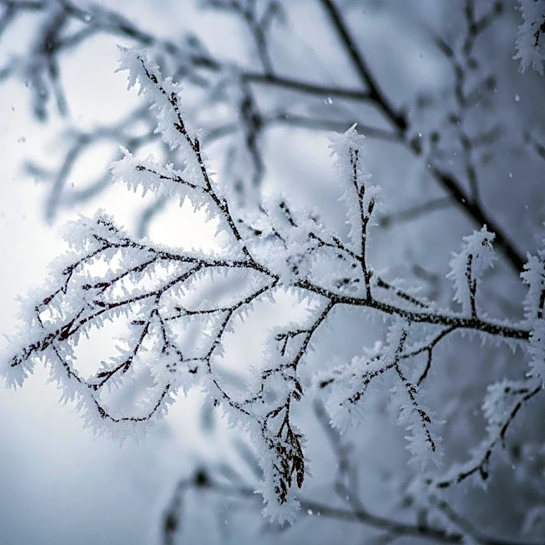 Wintry Mix Expected in Chicago Area This Weekend