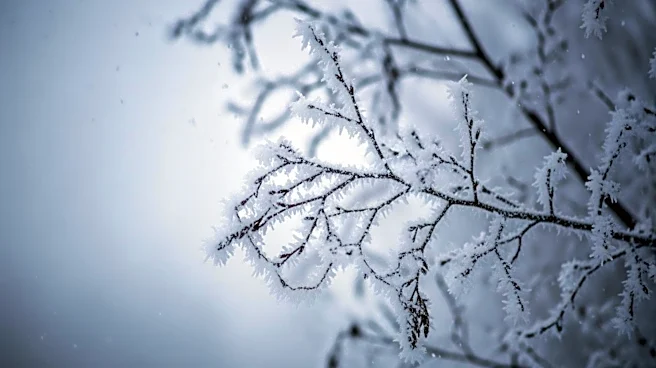 Wintry Mix Expected in Chicago Area This Weekend