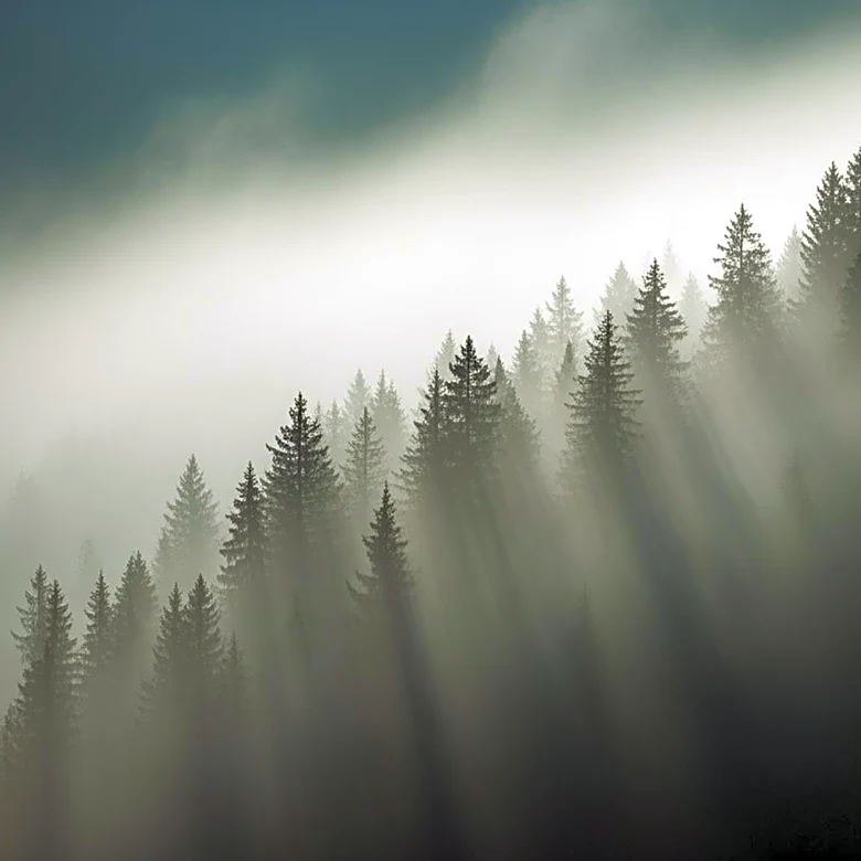 Foggy Conditions Expected in Smoky Mountains