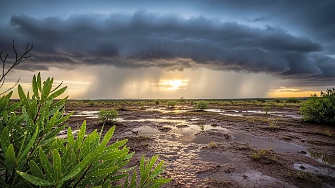 Australia Faces Severe Weather Conditions with Heavy Rainfall